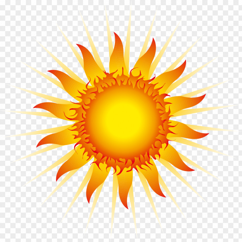 Cool Sun Rays Euclidean Vector Clip Art PNG