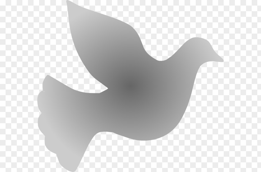 Duck Beak Font PNG