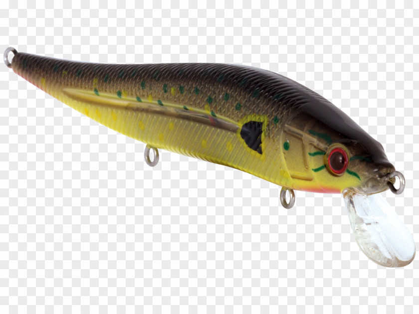 Fishing Plug Baits & Lures Spoon Lure Perch PNG