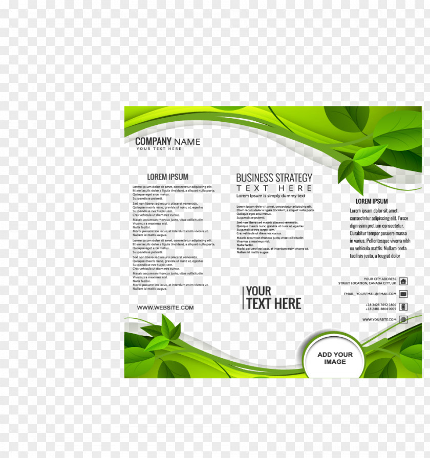Green Leaves Border Brochure Adobe Illustrator Computer File PNG
