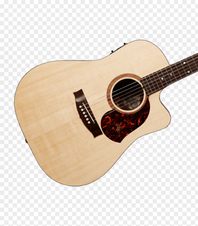 Guitarist Acoustic Guitar Musical Instruments Acoustic-electric Plucked String Instrument PNG
