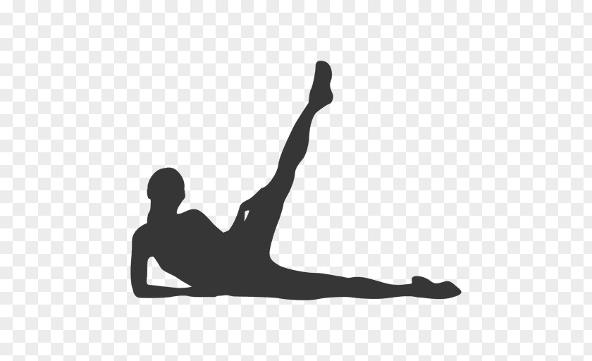 Gym Physical Fitness Exercise Pilates Silhouette Wellness SA Balls PNG