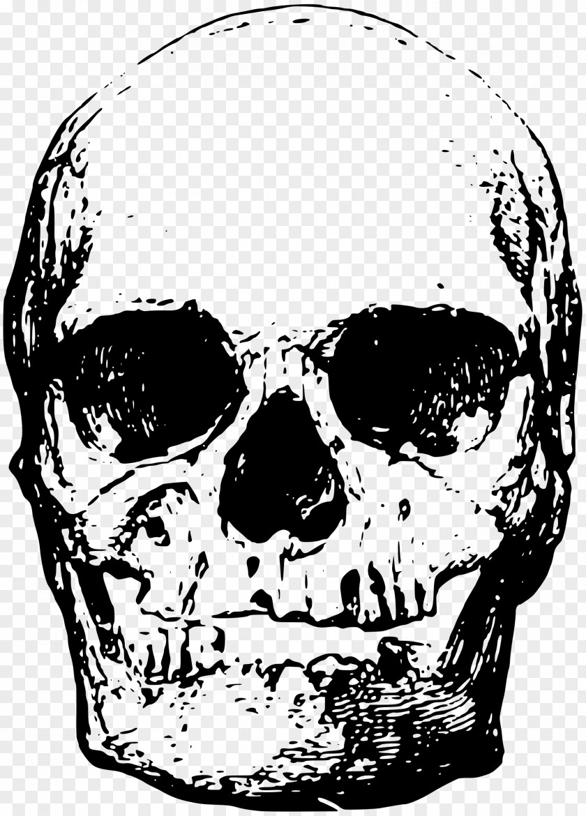 Illustration Skull Skeleton PNG