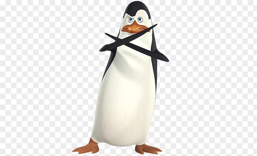 Penguin Kowalski Skipper Madagascar Television Show PNG