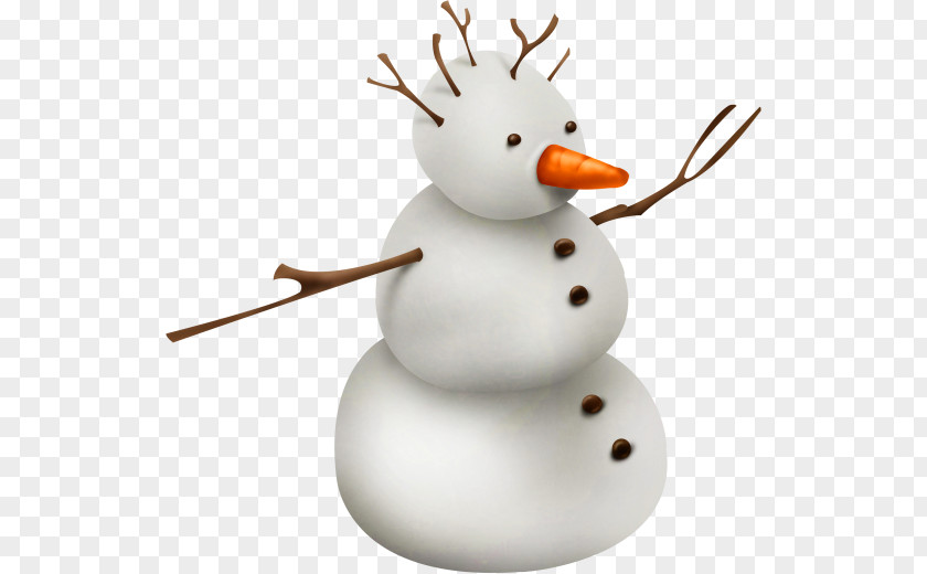 Bonhomme Hit Single Summer Winter Goose PNG