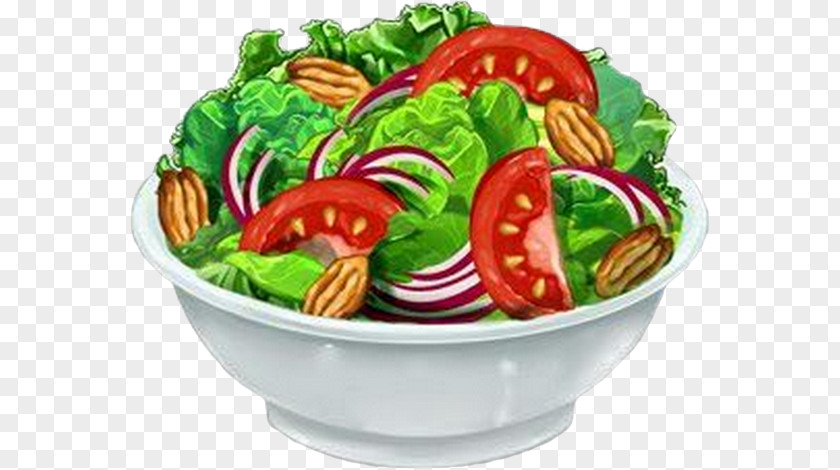 Salade De Crudites Clip Art Salad Vector Graphics Food PNG