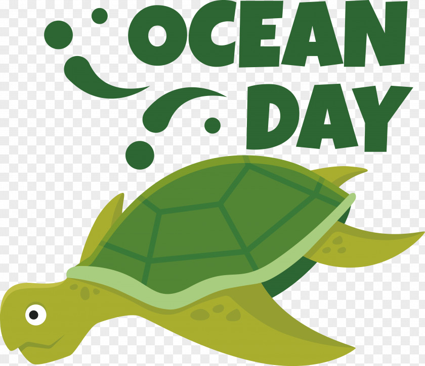 Sea Turtles Tortoise Turtles Leaf Cartoon PNG