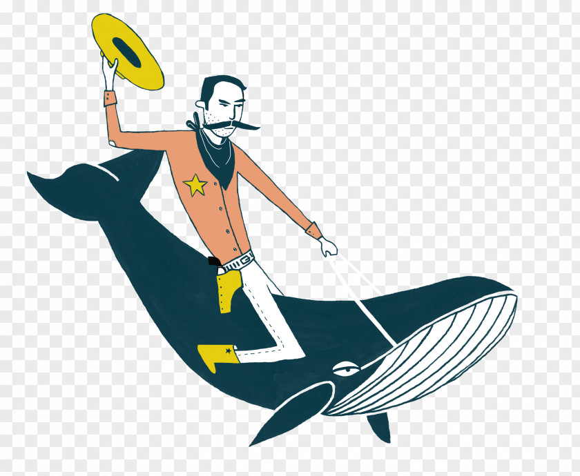 Theatre Dividers Porpoise Boating Clip Art Illustration Marine Mammal PNG