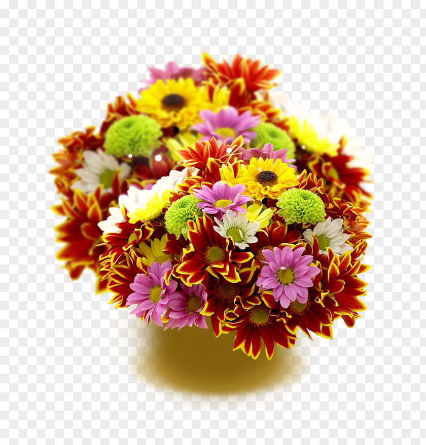Chrysanthemum Decoration Flower Photography Love Wallpaper PNG