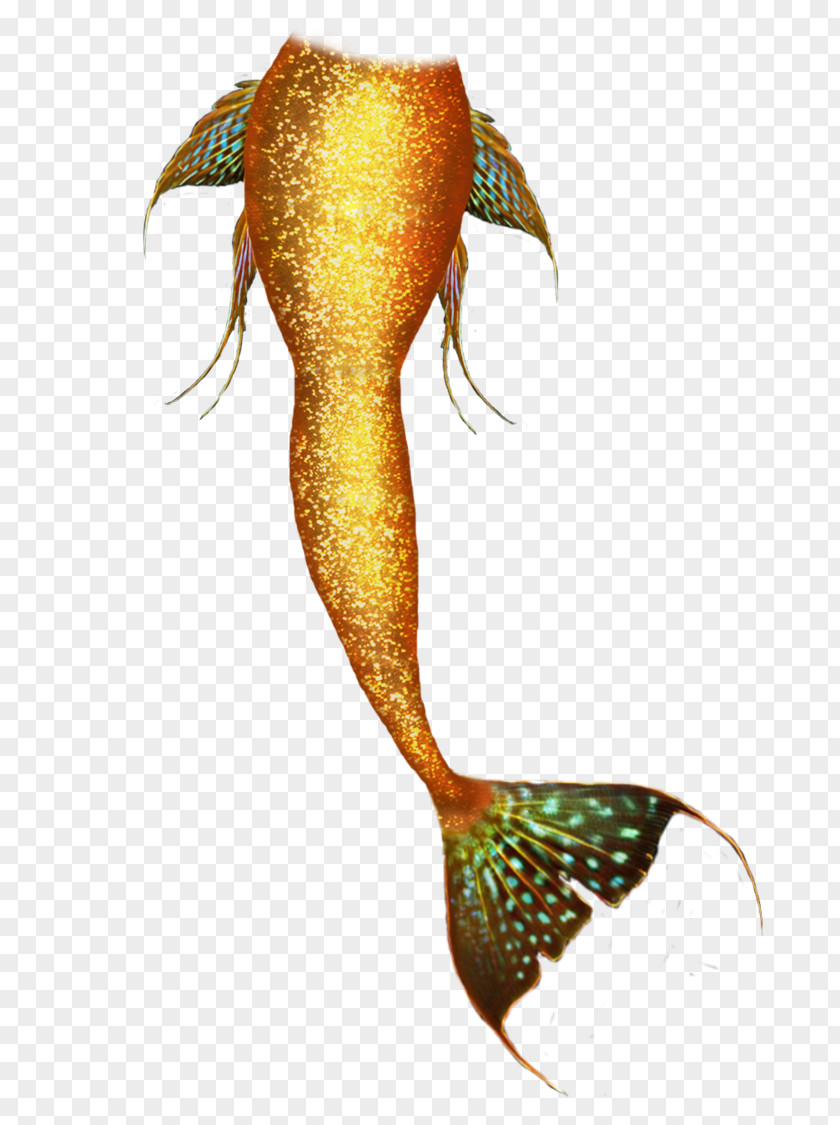 Mermaid Tails Tail DeviantArt Legendary Creature PNG
