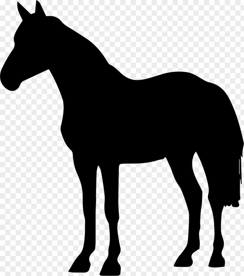 Silhouette Arabian Horse Black Forest Friesian Clip Art PNG
