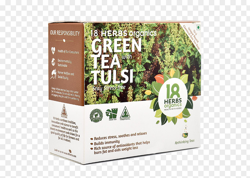 Tea Green Herb Holy Basil Organic Food PNG