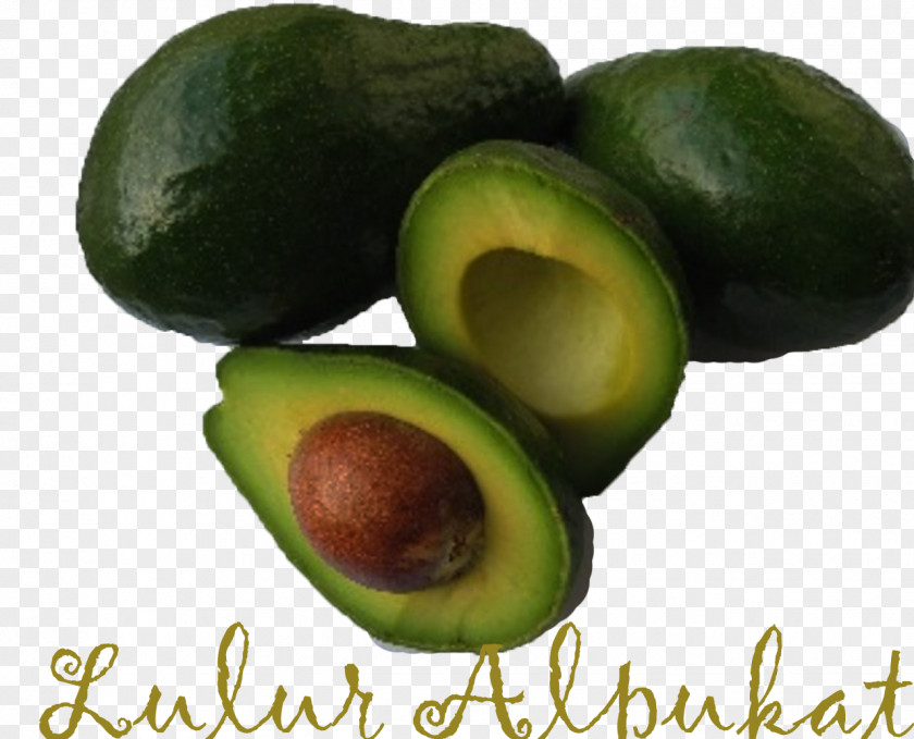Avocado Food Ingredient Fat PNG