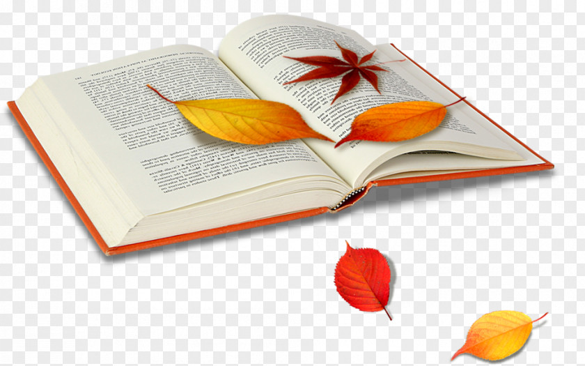 Books And Falling Leaves Deciduous Leaf U8fceu65b0u7522u5f8cu8b77u7406u4e4bu5bb6-u6843u5712u9928 Computer File PNG