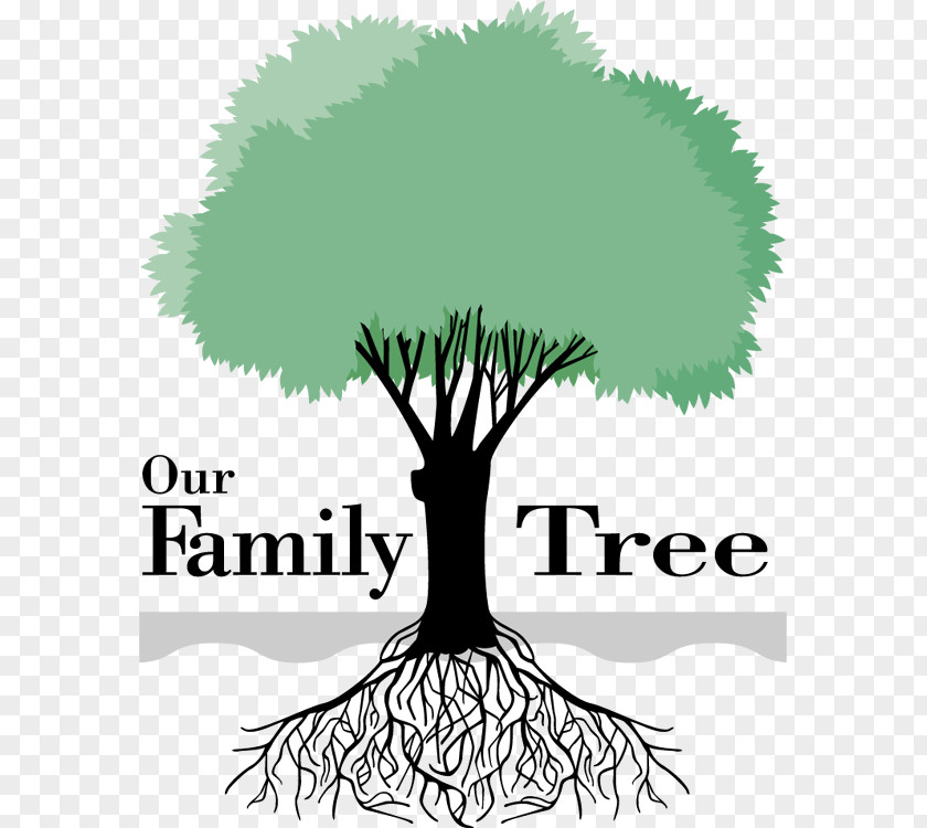 Family Tree Cliparts Your Genealogy Clip Art PNG