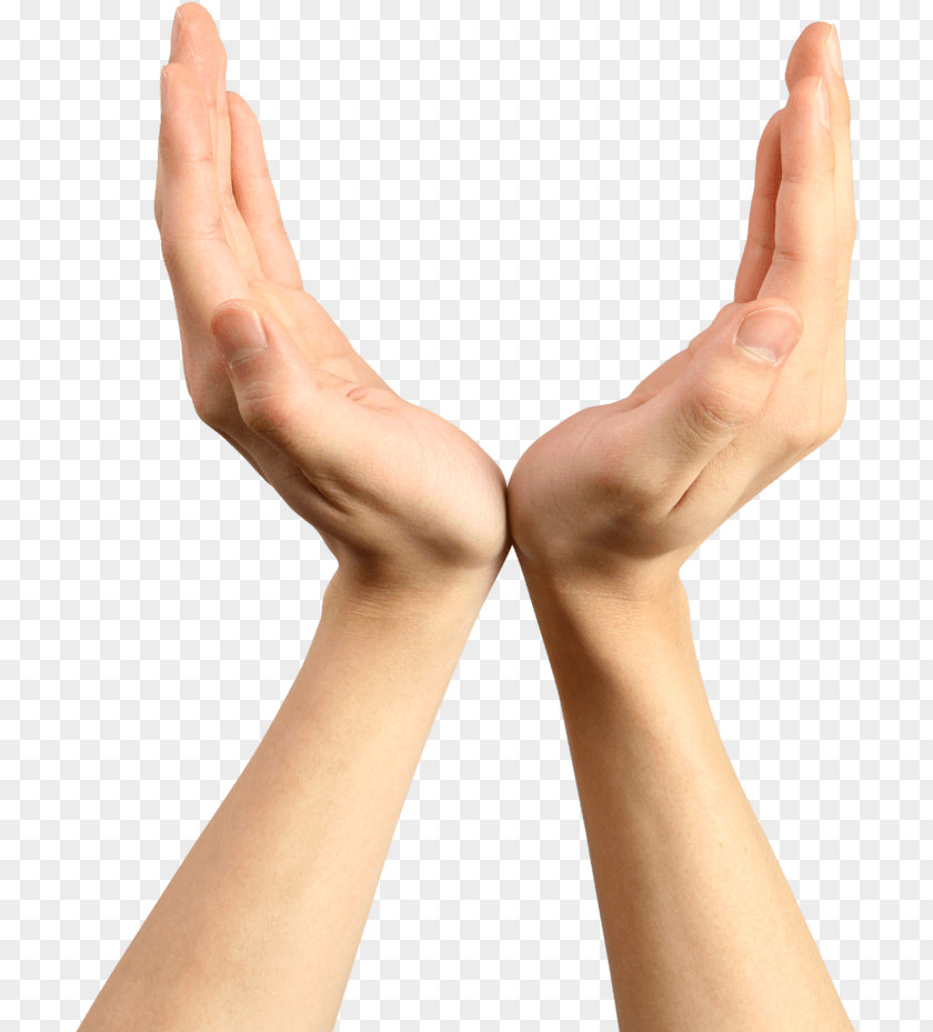 Holding V Hands PNG Hands, closeup photo of offering hand gesture clipart PNG
