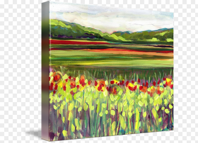 Painting Mount Vernon Skagit Valley Tulip Festival Printing PNG