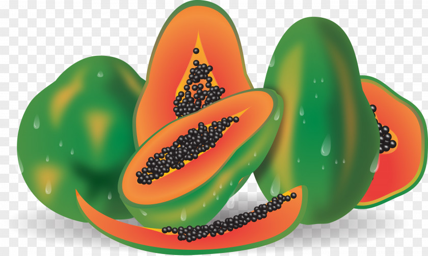 Papaya Hyper-realistic Vector Euclidean Fruit PNG