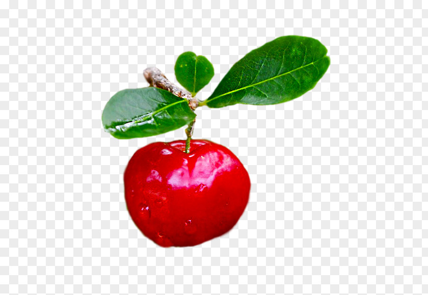 Papaya Juice Barbados Cherry Ingredient Lingonberry Diabetes Mellitus PNG