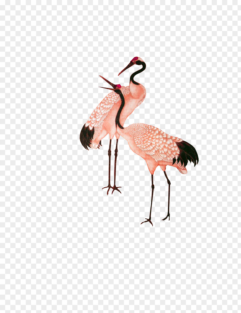 Red Chinese Wind Crane Decorative Patterns Red-crowned Google Images Clip Art PNG