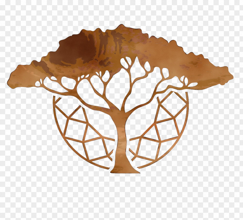 Tableware Plant Leaf Tree PNG