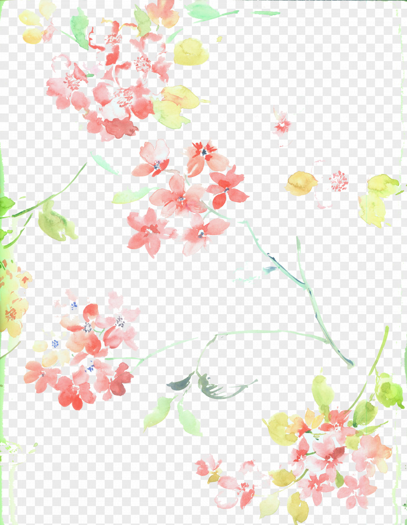 Cherry Blossoms Blossom Flower PNG