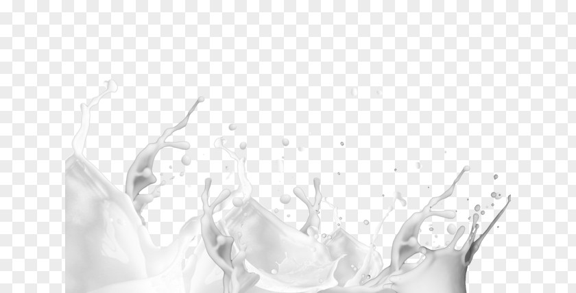 Milk Splash Juice Food Franchising Drinking PNG
