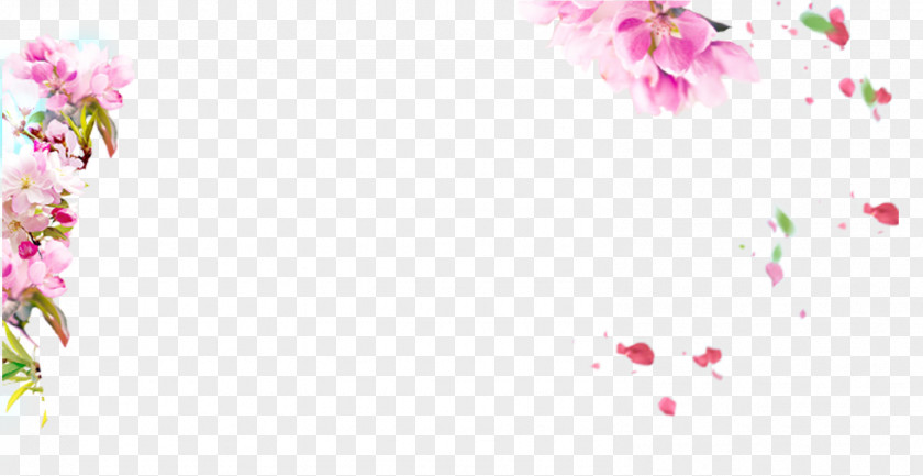 Peach Blossom Download Clip Art PNG