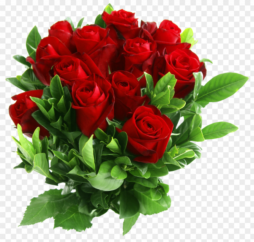 Red Rose Bouquet Picture Flower PNG
