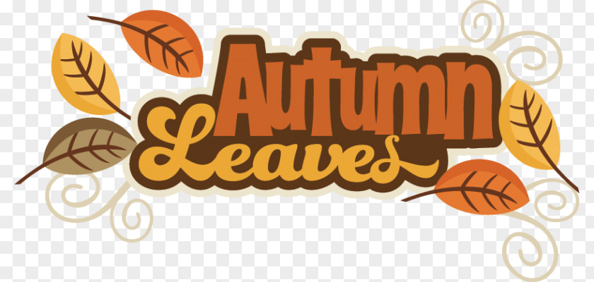 The Autumnal Equinox Autumn Leaf Color Scrapbooking Clip Art PNG