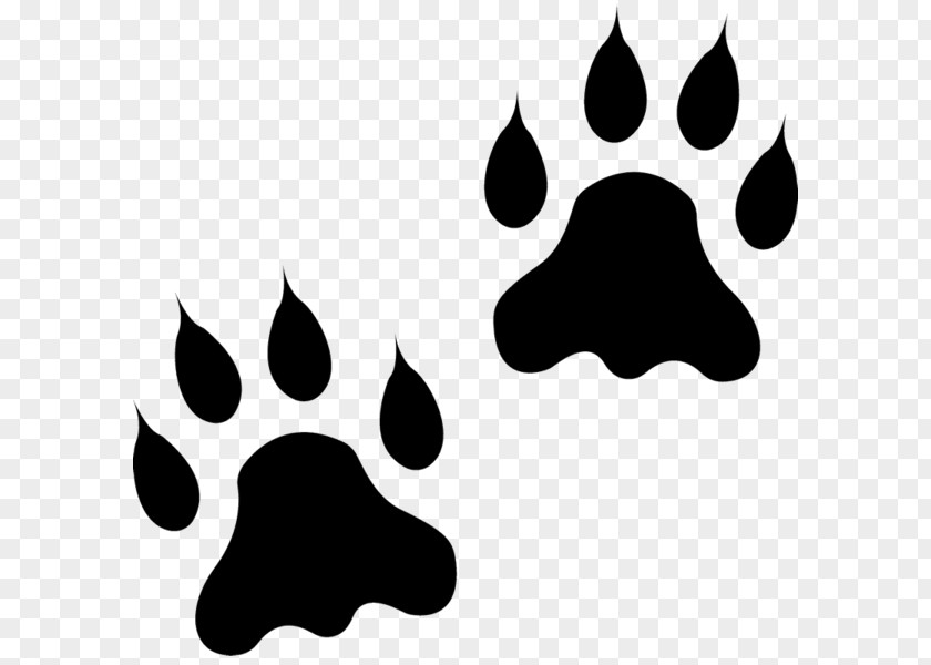 Animal Track Paw Lion Dog Clip Art PNG