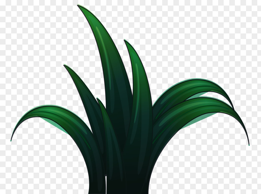 Green Grass PNG