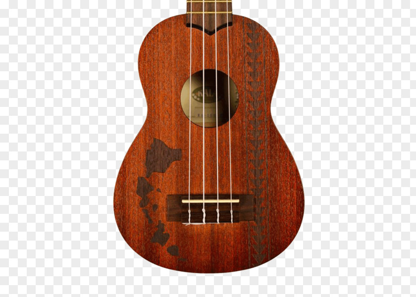 Guitar Ukulele Acoustic Fret Inlay PNG