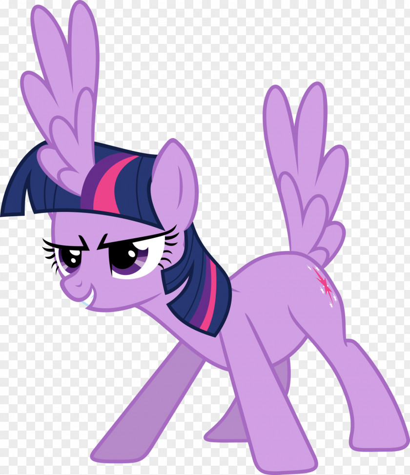 Midnight Twilight Sparkle Rarity Pinkie Pie Pony Rainbow Dash PNG