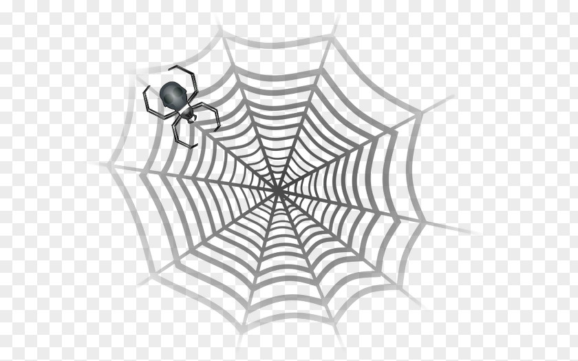 Spiders Web Stock Illustration Photography Image Shape PNG