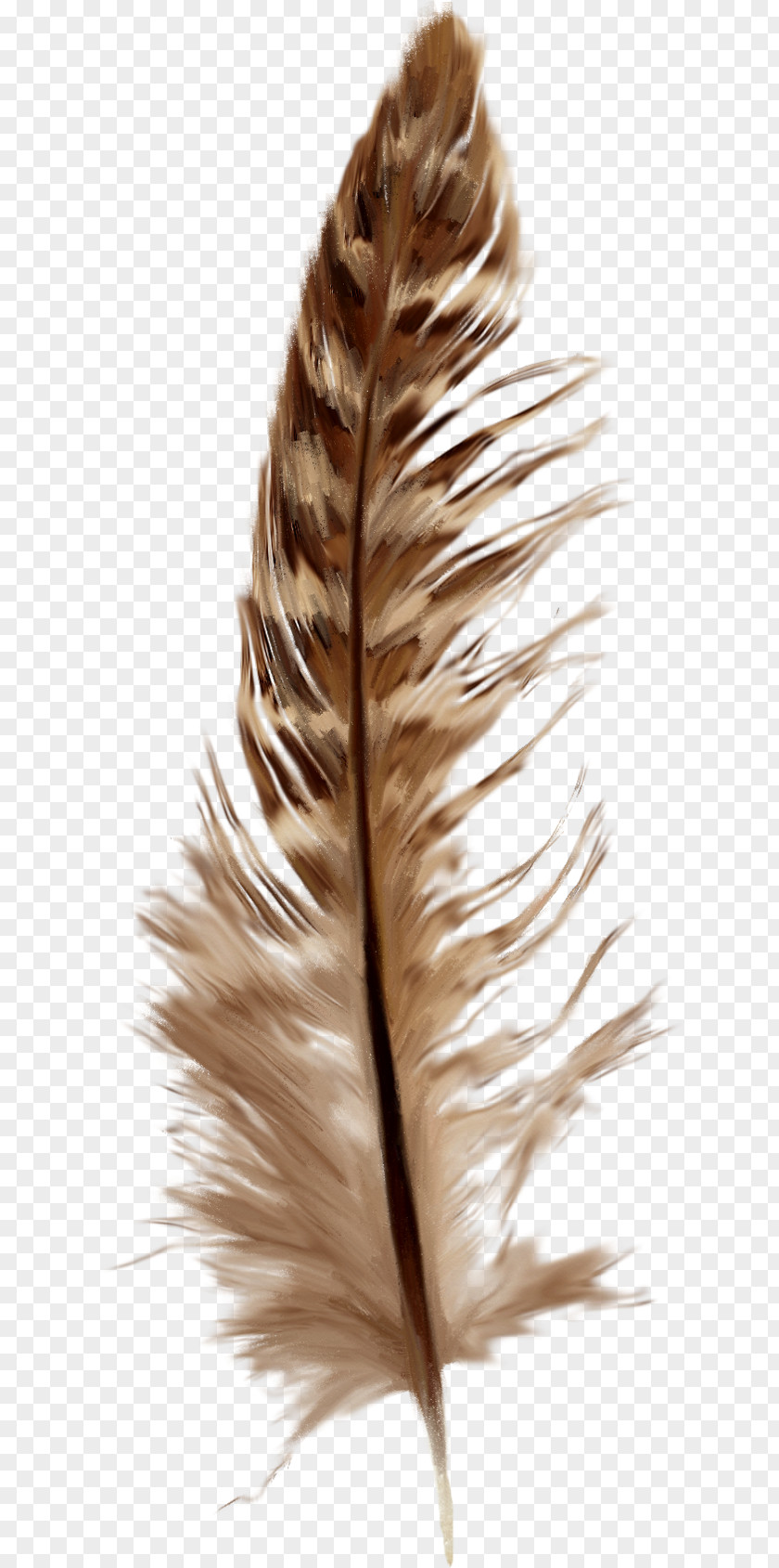 Creative Brown Feathers Feather Goose Clip Art PNG