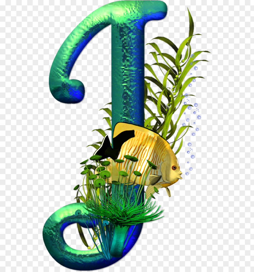 Fish Tank Letter Alphabet J Phone PNG