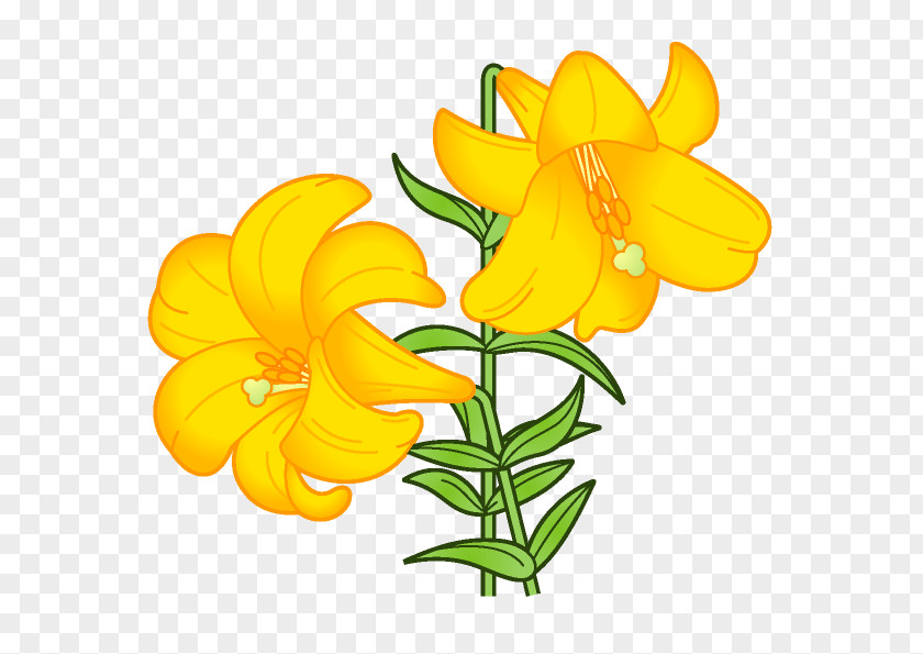 Flower Lilium Book Illustration Clip Art PNG