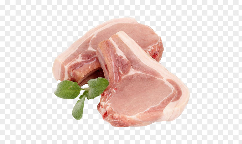Ham Back Bacon Pork Pig PNG