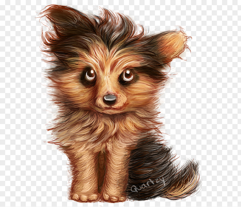 Puppy Yorkshire Terrier Russkiy Toy Companion Dog Breed PNG