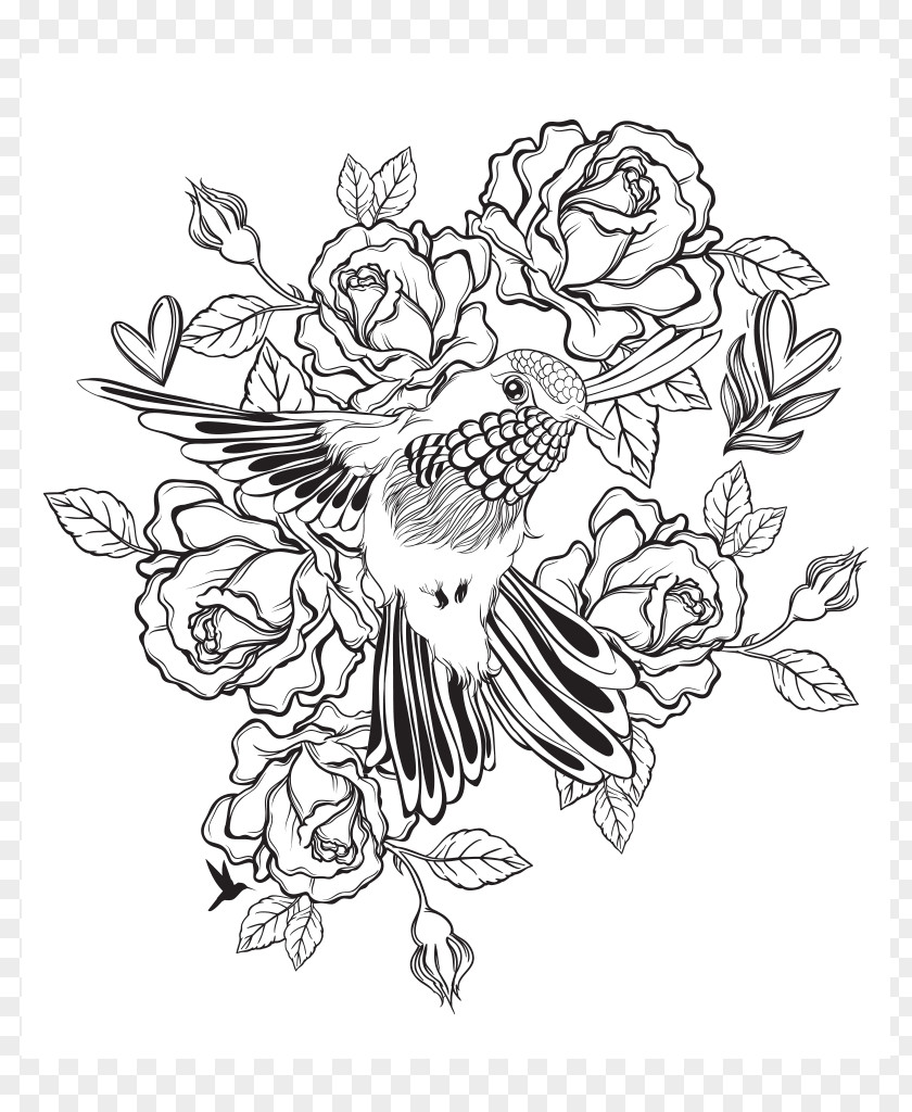 Bird Hummingbird Floral Design Drawing PNG