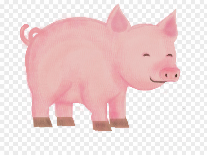 Piggy Bank Livestock PNG