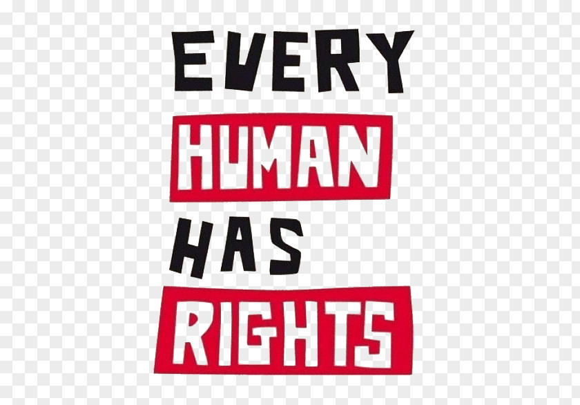 Universal Declaration Of Human Rights Right To Education Every Has Rights: A Photographic For Kids PNG