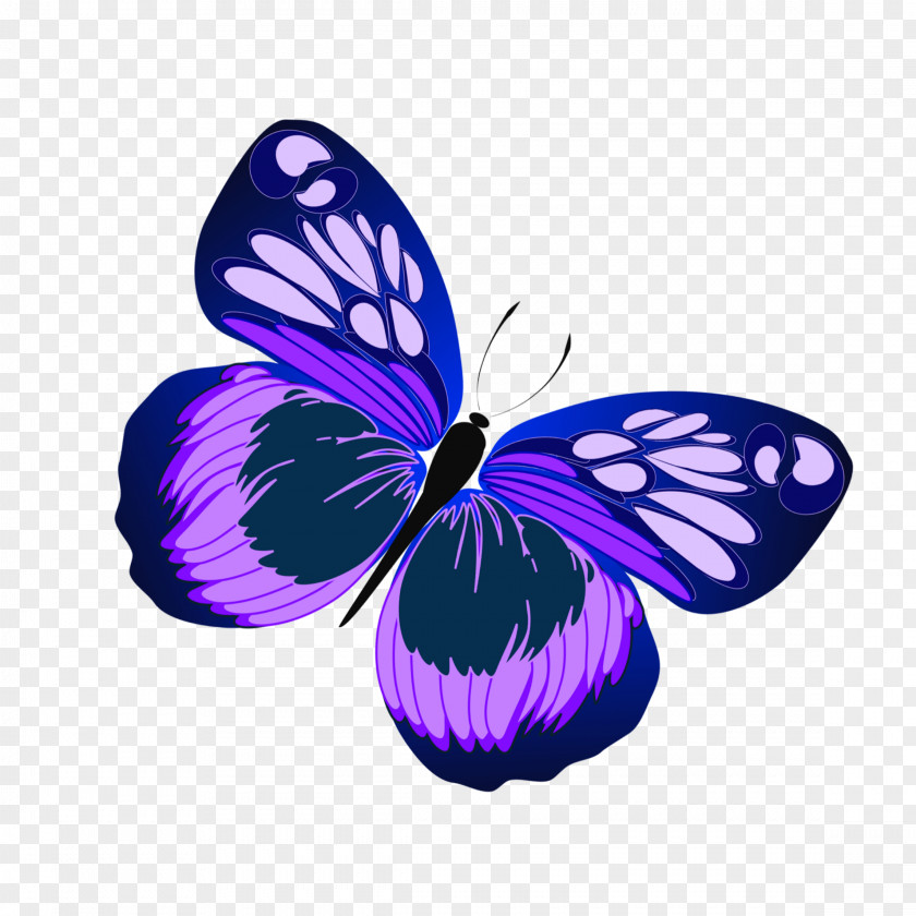 Friends Butterfly Clip Art Image Butterflies Free Content PNG