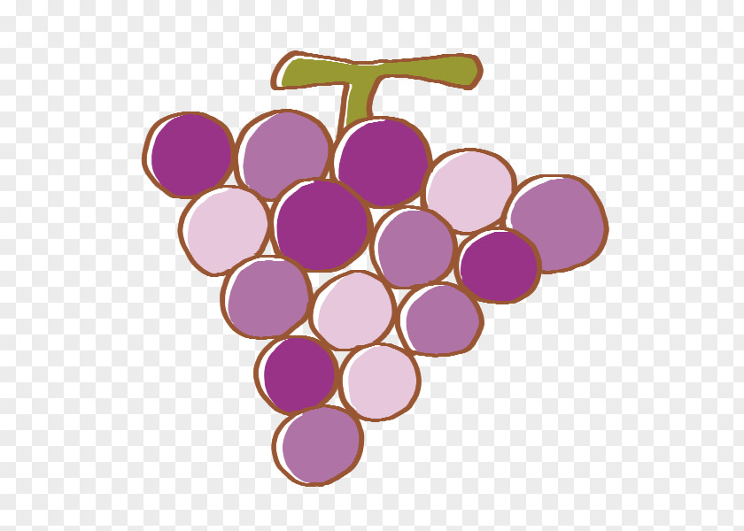 Grape Fruit Kamioba Illustration Food PNG
