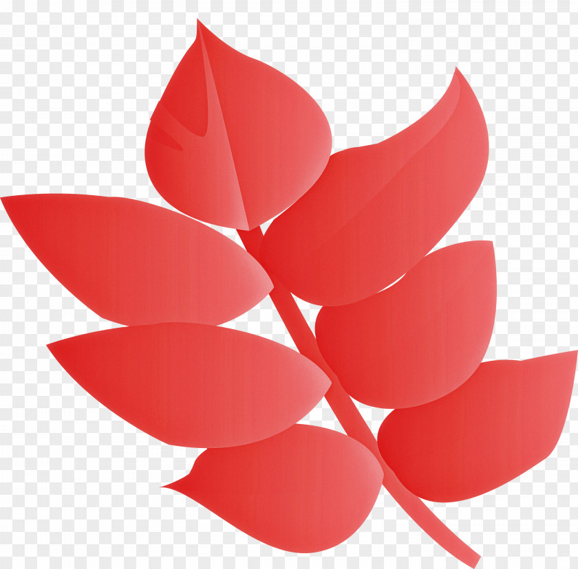 Red Petal Leaf Flower Plant PNG