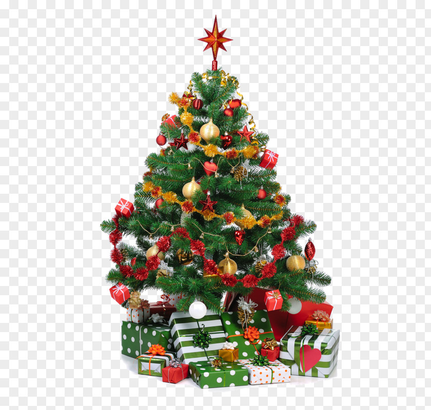 Big Christmas Tree Decoration Gift Ornament PNG