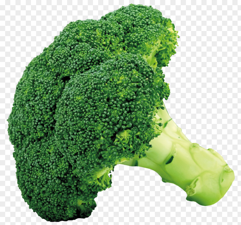 Broccoli Picture Cruciferous Vegetables Cauliflower Cabbage PNG