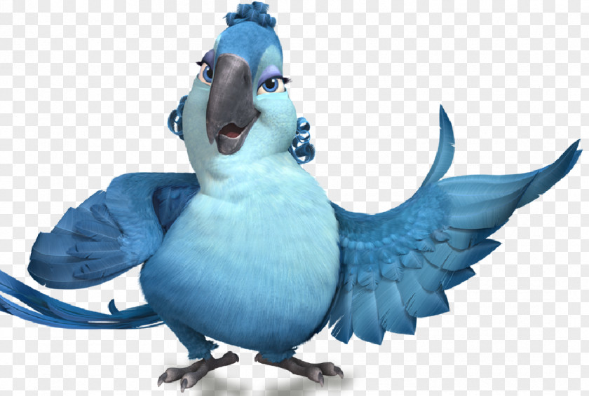 Spix Macaw Blu Mimi Angry Birds Rio PNG