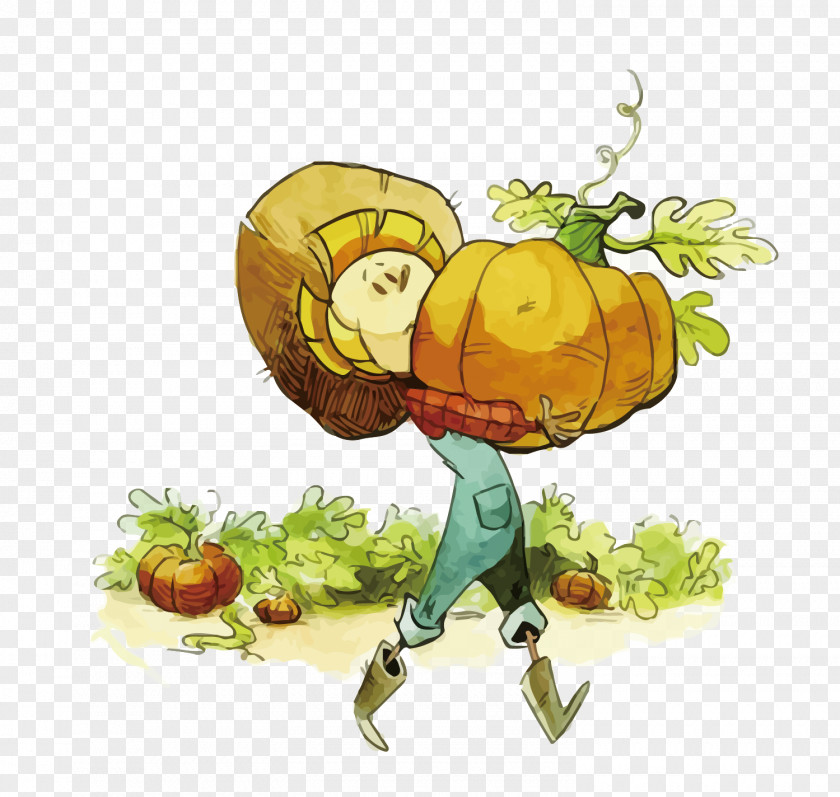 Vector Clock Pumpkin Drawing Clip Art PNG